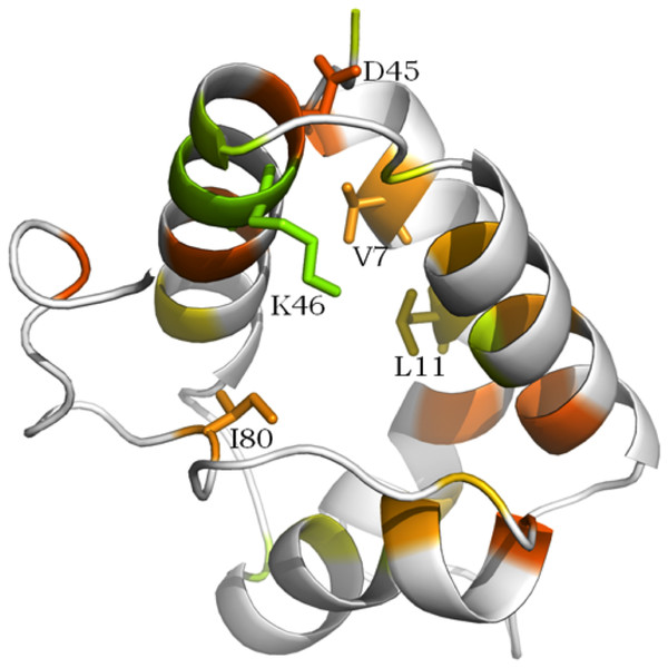 Conserved amino acid residues among the so-called defense cluster, displayed on the 3D structure of nsLTP 525, (“LTP,” UniProtKB—Q1KMV1).
