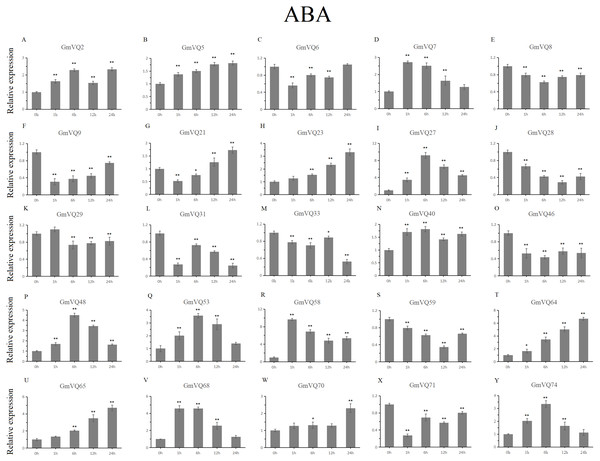 qRT-PCR analysis reveals GmVQ genes under ABA treatment compared to the controls.