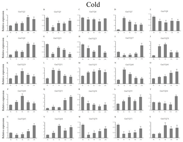 qRT-PCR analysis reveals GmVQ genes under cold treatment compared to the controls.