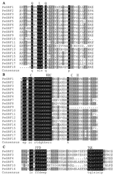 Sequence alignment of the conserved domains in PeGRF proteins.