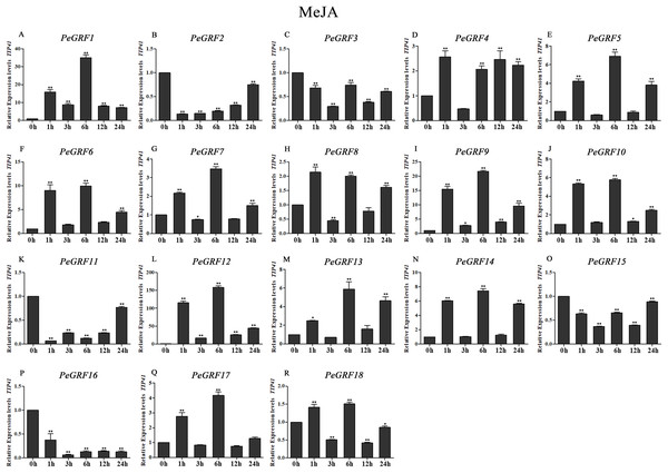 Quantitative RT-PCR analysis of the PeGRF genes in moso bamboo in response to MeJA stress.