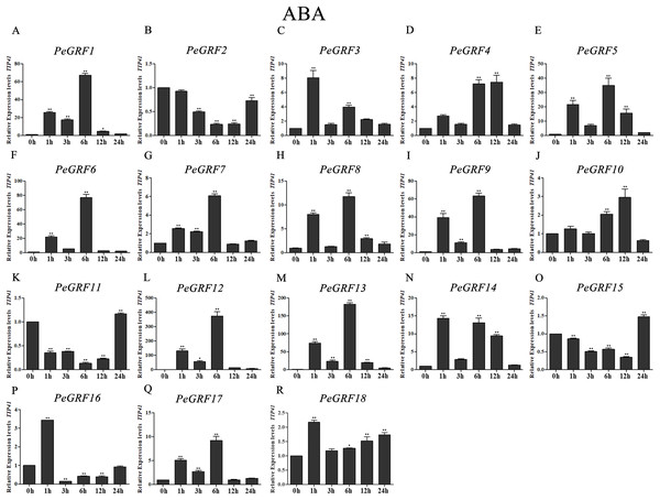 Quantitative RT-PCR analysis of the PeGRF genes in moso bamboo in response to ABA stress.