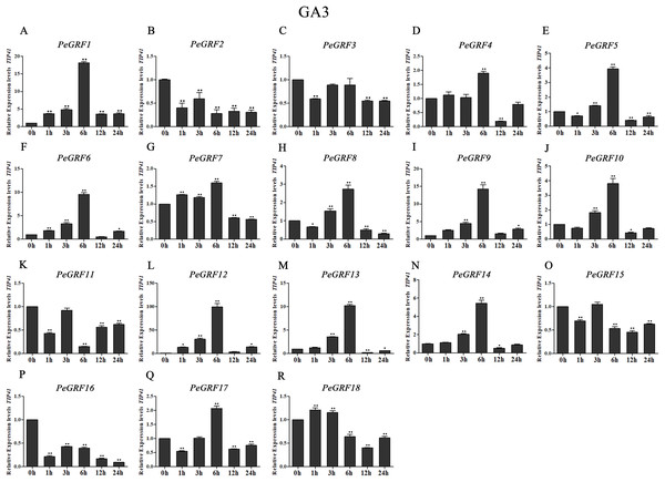 Quantitative RT-PCR analysis of the PeGRF genes in moso bamboo in response to GA3 stress.