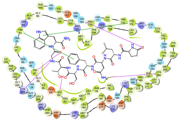 Protein-ligand interaction diagram, Schgr-AKHR - Schgr-AKH-II.
