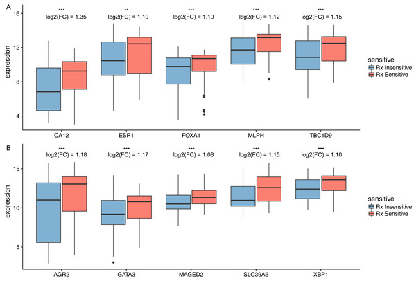 The differential expression of potential hub genes in the sensitive and insensitive group of HER2-negative breast cancer patients who received taxane-anthracycline neoadjuvant chemotherapy.