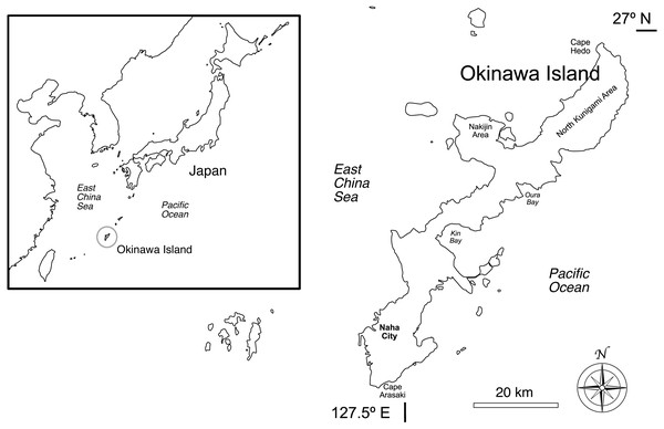 Okinawa Island and surrounding areas in southern Japan, northwestern Pacific Ocean.