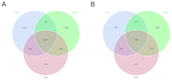 Venn diagram showing overlap in (A) bacterial and (B) fungal OTUs within elm rhizosphere communities from different seasons.