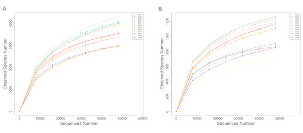 Rarefaction curves of partial sequences of (A) bacterial 16S rRNA genes and (B) fungal ITS from the elm rhizosphere communities from different seasons.