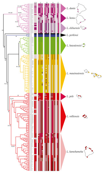 Results of molecular species delimitation analyses (MSDAs).