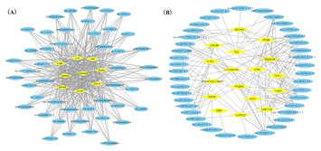 CeRNA network analysis and functional enrichment of salt sensitivity of ...