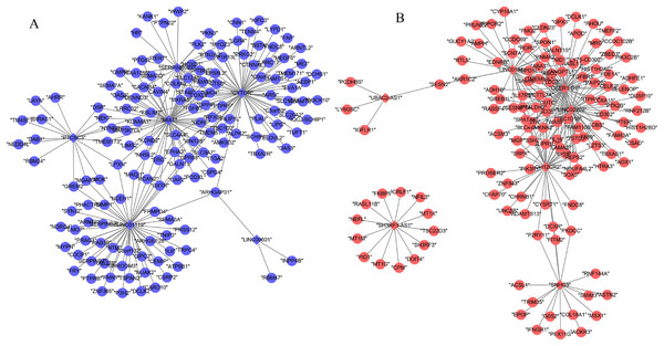 Co-expression network between differentially expressed long non-coding RNAs and genes.