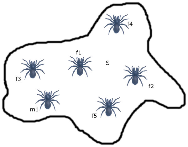 Search space (S) of spiders.