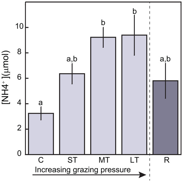 Bar graphs displaying mean (±SE) ammonium concentration in sediment pore-water as function of grazing levels.