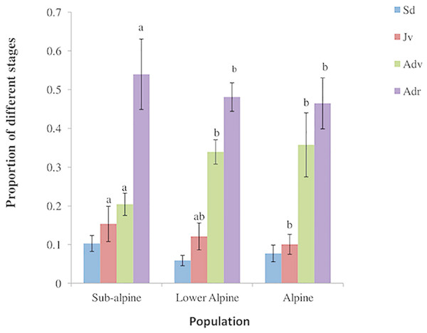 Population structure of A. spicatum in Annapurna Conservation Area, Central Nepal (Sd, seedlings; Jv, juveniles; Adv, adult vegetative; Adr, adult reproductive).