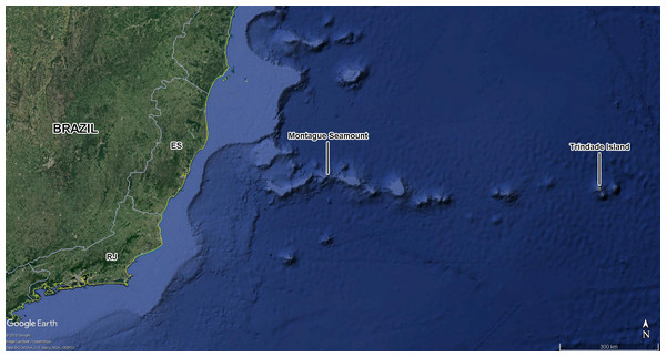 Montague seamount and Trindade Island.