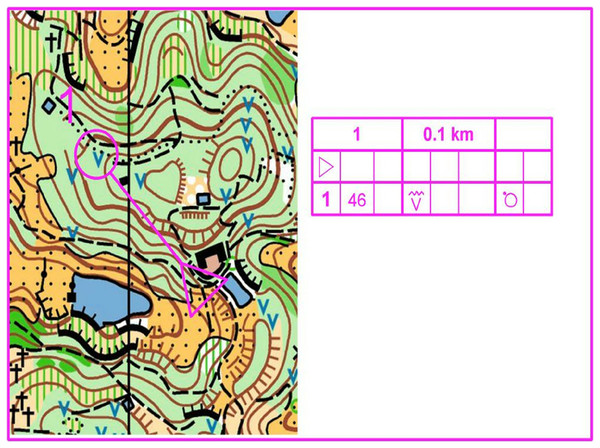 Example of a precise map for orienteering.