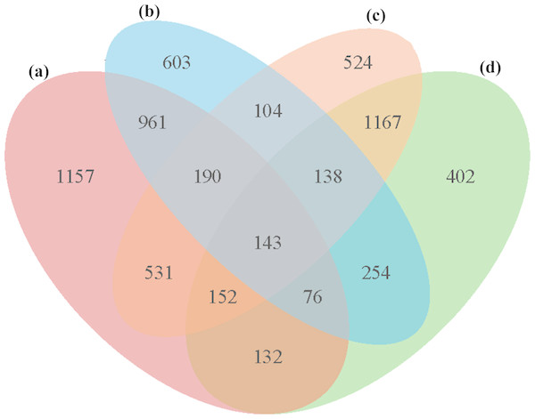 Venn diagrams for DEGs in the four comparison groups.