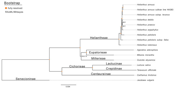 Molecular phylogenetic tree of 16 composite species based on a neighbor joining analysis.