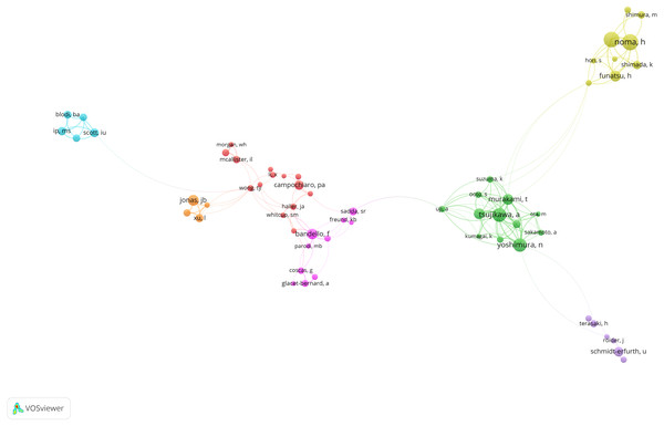 Co-authorship network of productive authors in RVO study.