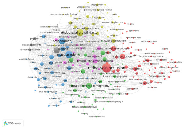 Co-occurrence network of keywords in RVO study.