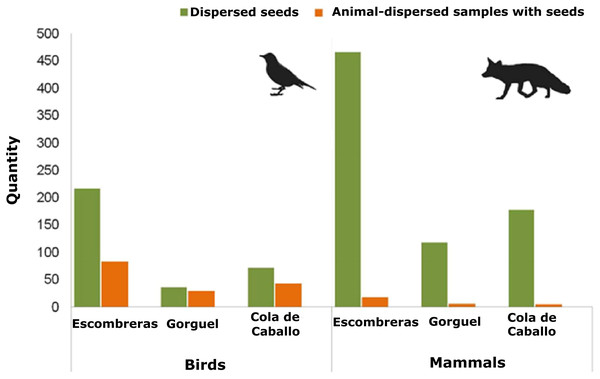 Quantity of animal-dispersed samples with seeds and seeds dispersed by mammals and birds in the three areas sampled within the Sierra de la Fausilla (SE Iberian Peninsula): dark green bars show the quantity of seeds; light orange bars show the quantity of animal-dispersed samples.