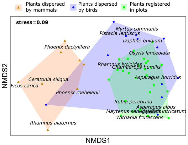 Non metric multidimensional scaling (NMDS) for plant species registered in vegetation samples and plant species dispersed by mammals and birds in Sierra de la Fausilla, Murcia Region.