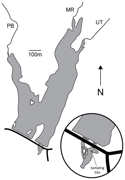 Map of Palatine Lake and the sampling location at the outfall confluence.