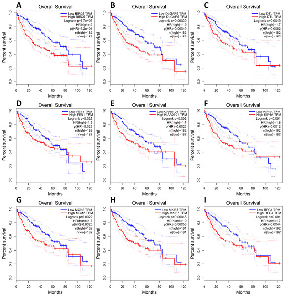 Association between core genes and overall survival (A, BIRC5; B, DLGAP5; C, DTL; D, FEN1; E, KIAA0101; F, KIF4A; G, MCM2; H, MKI67 and I, RFC4) in those with HCC.
