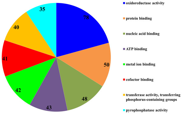 Functional categorization of proteins with most significantly altered expression in P. capsici exposed to SYP-14288 according to COG analysis. The numbers in each segment represent the number of proteins allocated to that functional category.