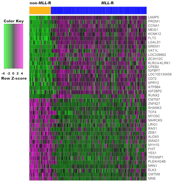 Heat map of the top 20 up-regulated and down-regulated DEGs.