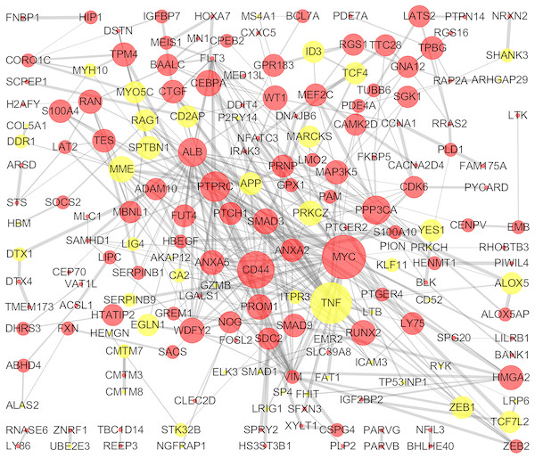 PPI network of DEGs.