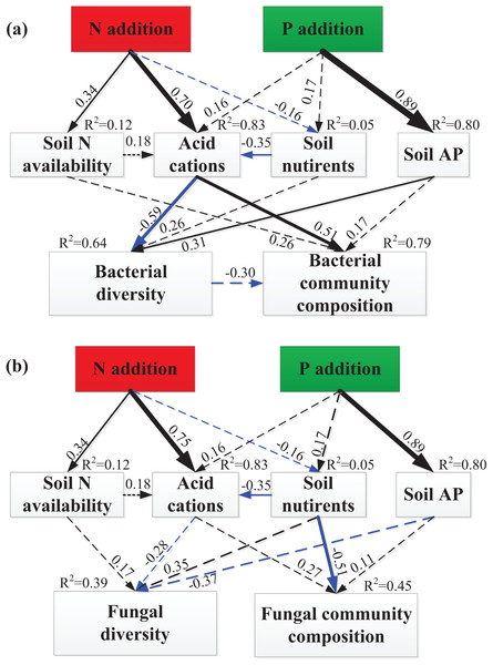 SEM analysis of the effects of N and P enrichment on soil bacterial (A) and fungal (B) community structure.