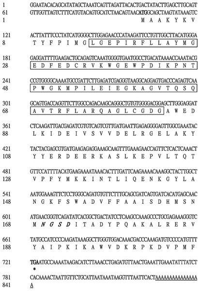 Complete nucleotide sequence encoding E. onukii Matsuda and deduced amino acids of the cloned EoGSTs1.