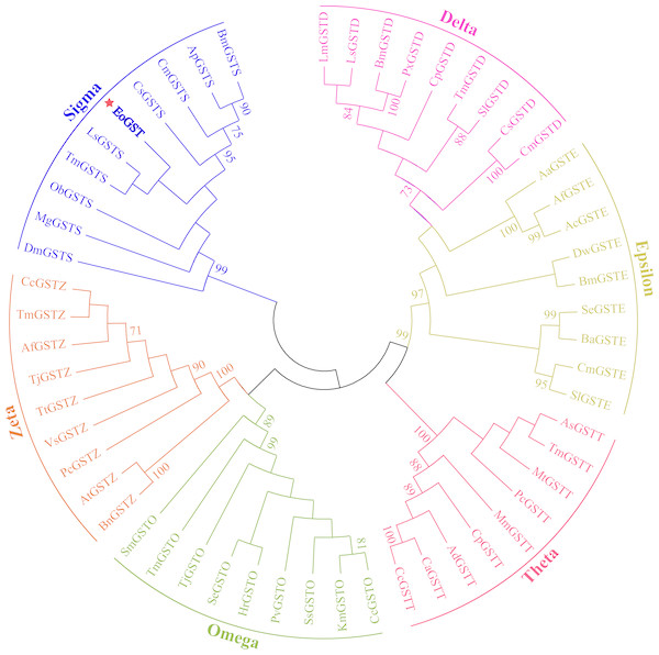 Clustering analysis of GST genes of different insect species based on the neighbouring method.