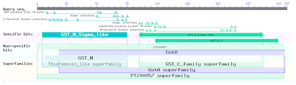 Prediction of the functional domains of the EoGSTs1 protein.