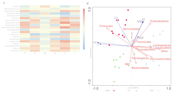 Correlations analyses between the relative abundances of bacteria genera and forage nutrient composition parameters.