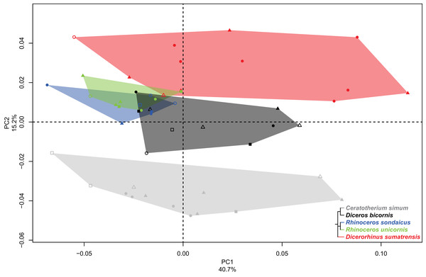 Results of the PCA performed on morphometric data of the fibula.