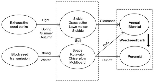 Strategy framework for weed management in a fallow field in Northern China.