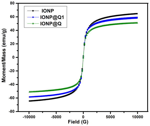 Magnetic hysteresis loops of IONP@Q.