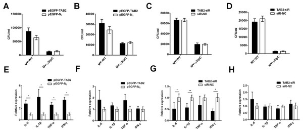 TAB2 interacted with SipC promotes SE inflammatory to dGCs.