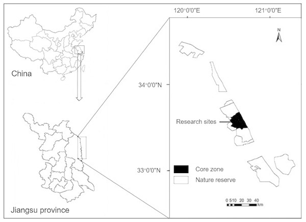 Maps showing the location of the research sites within China and the Yancheng National Nature Reserve.