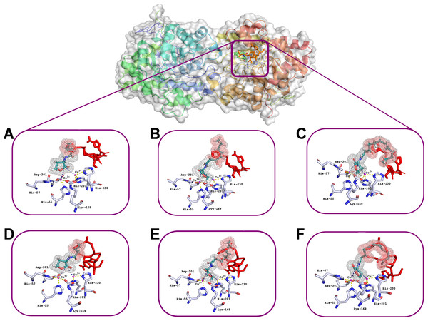 Results of computationally simulated interactions of AHLs with the active site of His6-OPH in the presence of ceftiofur (red stick).