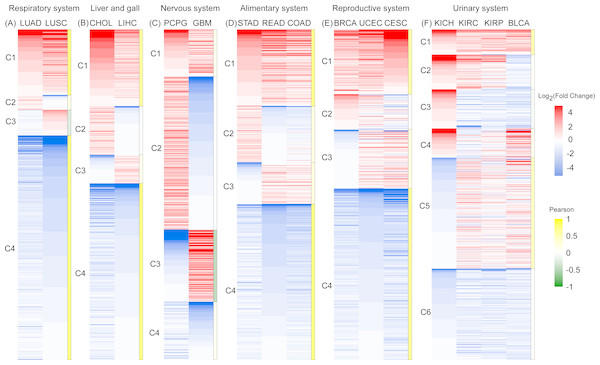 An expression heat map of 801 differentially expressed RBPs shared by 16 cancer types in six systems.