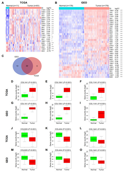 Differential expression analysis of collagen family genes between ESCC and normal tissues.