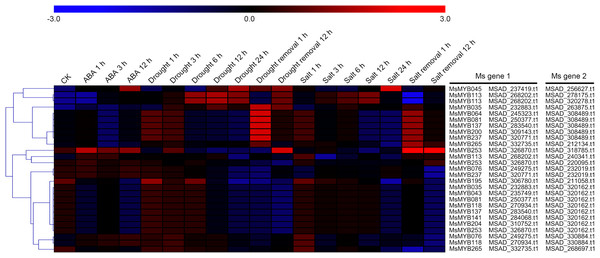 Hierarchical clustering of interaction gene expression profiles during ABA, drought, and salt treatments.
