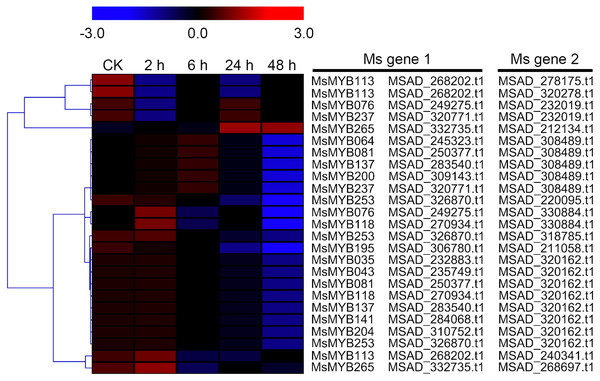 Hierarchical clustering of interaction gene expression profiles during cold treatment.