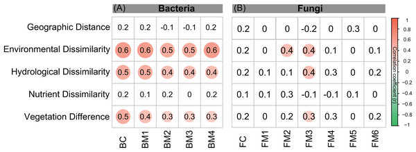 Correlations between different components of environmental distance (environmental dissimilarity, hydrological dissimilarity, nutrient dissimilarity, and vegetation dissimilarity) and taxonomic dissimilarities of (A) bacterial and (B) fungal communities and modules.