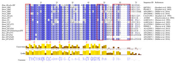 Multiple sequence alignments of the primary structures of hirudin-HN, HM1-4, hirudin, HV1, P6, P18, HV1(VV), HV2, HV3(PA), HV3(PA) subtype AFN, HV1(VV), HV3(PAF) and HV3(PAY).