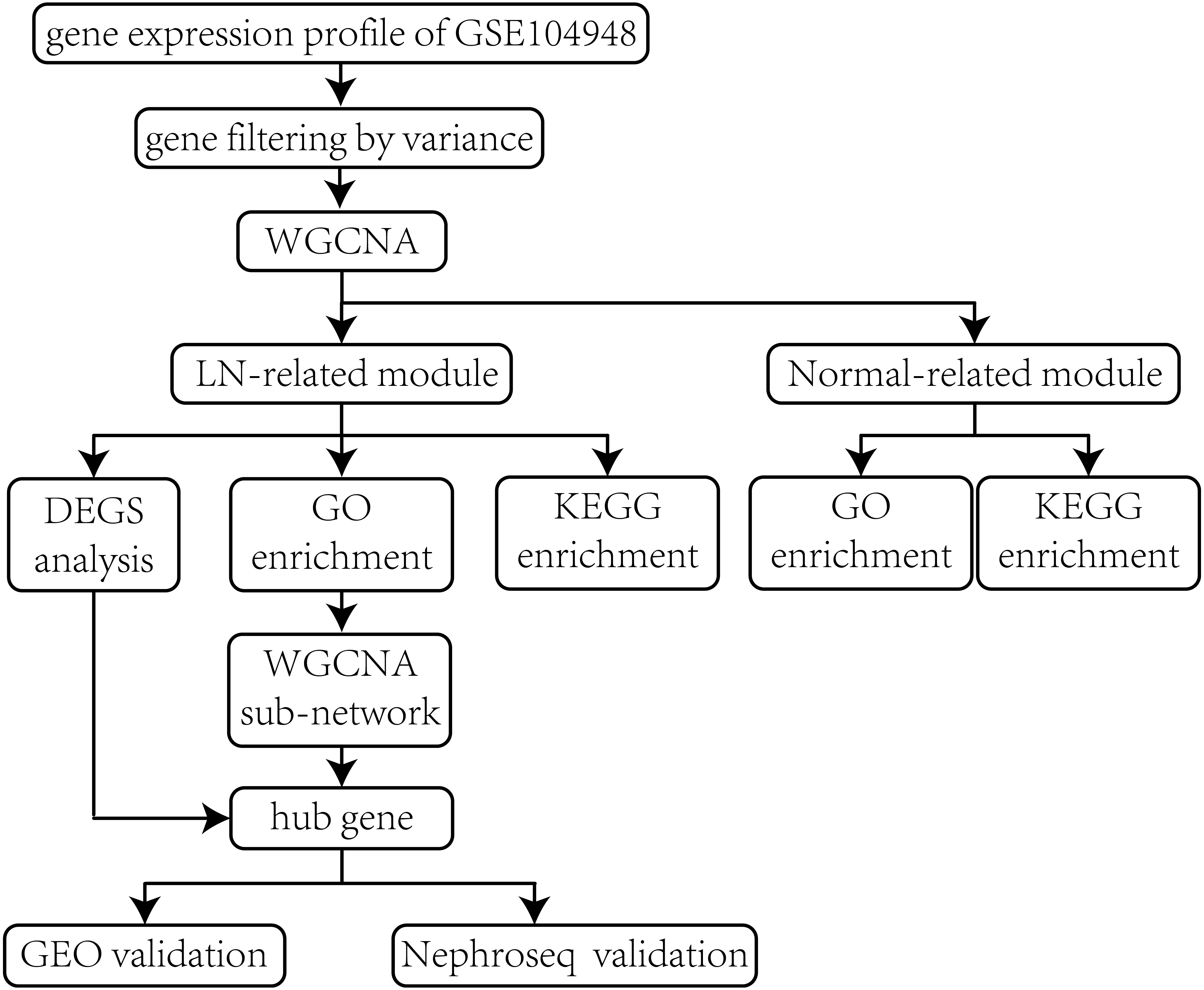 Gene Expression Chart