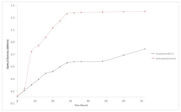 Effect of chromium (Cr6+) on the growth of Staphylococcus aureus strain K1.